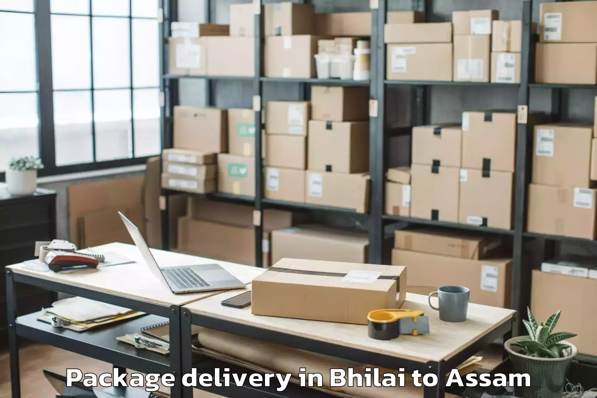 Trusted Bhilai to Bijni Pt Package Delivery